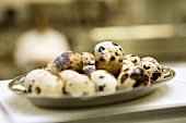 Quails' eggs on a stainless steel tray