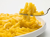 A forkful of macaroni and cheese