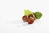 Hazelnuts with leaves