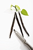 Vanilla pods, leaves and knife with vanilla seeds on tip