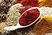 Paprika powder in porcelain spoon on assorted spices