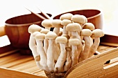 Shimeji mushrooms on wooden tray