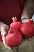 Hände halten drei Granatäpfel