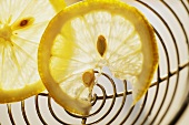 Lemon slices on skimmer (close-up)