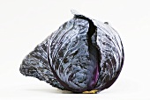 Whole Head of Red Cabbage on White