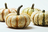 Striped Pumpkins