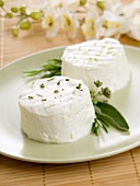 Fresh goat's cheese with herbs