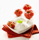 Mozzarella with cocktail tomatoes in a small dish