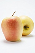 Two apples (variety 'Marlene')