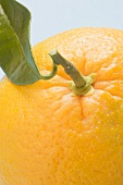 Orange with stalk and leaf (close-up)