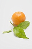 Clementine, daneben Blätter