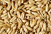 Oat grains (full-frame)