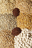Seven different types of cereal grains (full-frame)