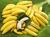 Viele Bananen (eine geschält) auf Bananenblatt