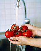Tomaten abwaschen