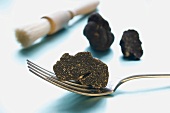 Black truffle (Perigord truffle) on fork