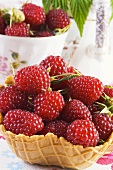 Raspberries in wafer basket