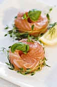 Salmon roulades with basil