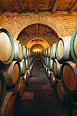 Wine cellar (Spain)