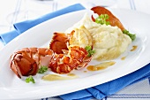 Lobster with mashed potato