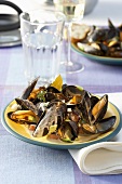 Steamed mussels in white wine cream sauce