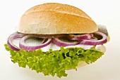 Herring, lettuce and red onion rings in bread roll