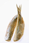Matjes herring filets with tail fins