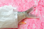 Tail fin of a dace in paper, Thailand