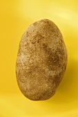 Eine Kartoffel auf gelbem Hintergrund