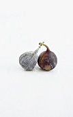 Two figs