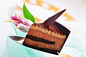 A piece of mocha and chocolate mousse cake