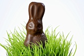 Chocolate rabbit in grass