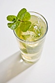 Mojito with mint