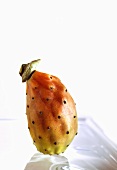 A prickly pear