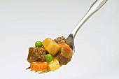 Forkful of Beef Stew