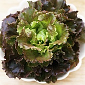 Batavia lettuce