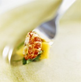 Prawn with mango and fresh coriander on fork