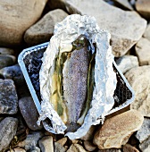 Trout in aluminium foil on disposable barbecue out of doors