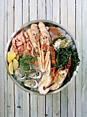 Assorted seafood in bowl with ice cubes