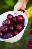 Hand holding bowl of fresh plums