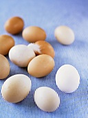 White and brown eggs on striped cloth