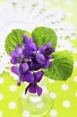 Posy of violets in a vase