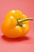 Yellow pepper on pink background