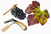 Corkscrew, grapes and vine leaf