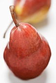 Red Williams pears