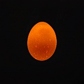 Ein Ei (durchleuchtet)