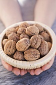 Hands holding basket of walnuts