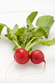 Two radishes