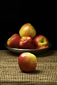 Apple with a Dish of Apples