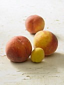 Various types of peach